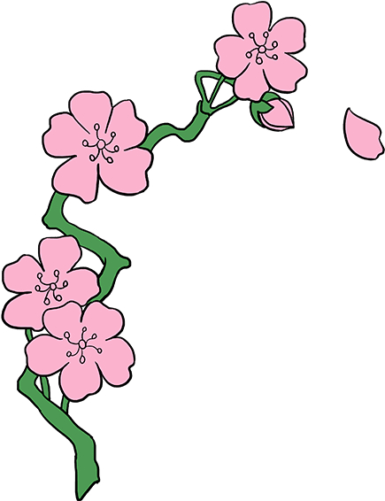 How To Draw Cherry Blossoms - Drawing (680x678), Png Download