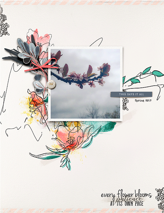 Cold Day On The Bay By Jk703 Is Another Precious Jewel - Japanese Camellia (700x700), Png Download