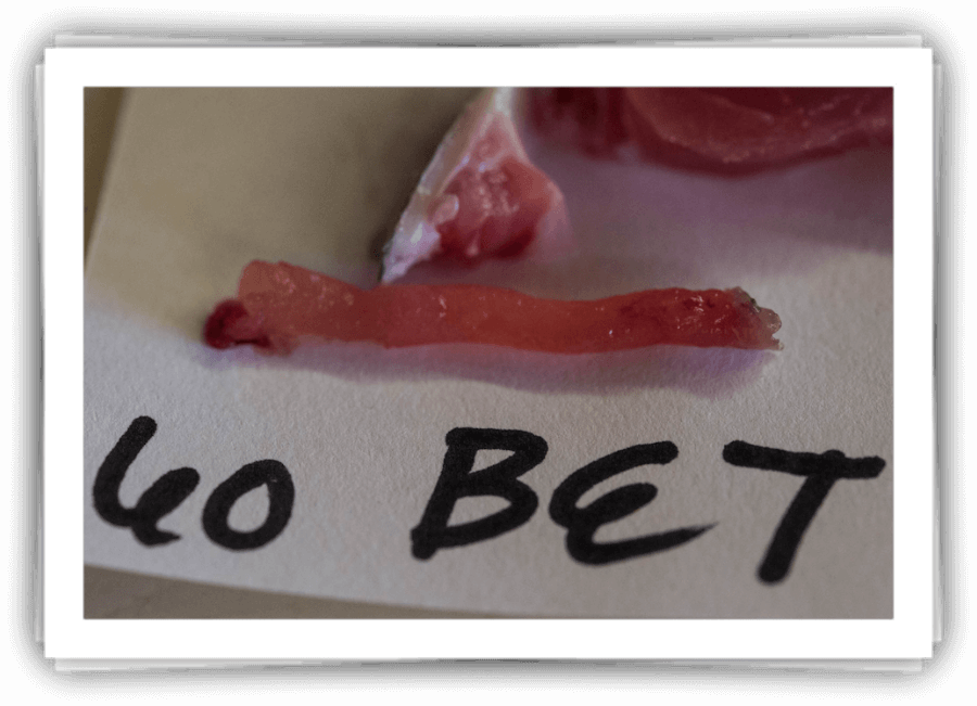 Tuna Sample - Tuna (900x651), Png Download