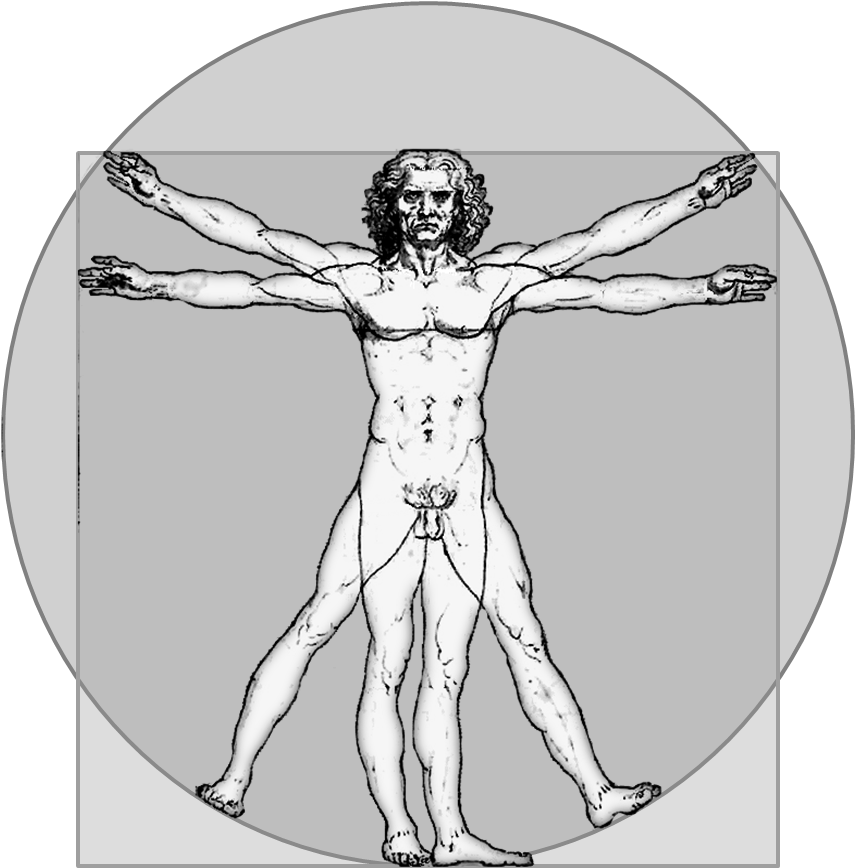 Vitruvian Icon Gray - Introduction To 12-lead Ecg: The Art (877x915), Png Download