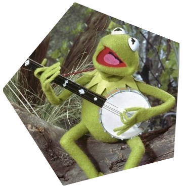 Kermit The Frog - Fuck Has The Weekend Gone (362x375), Png Download