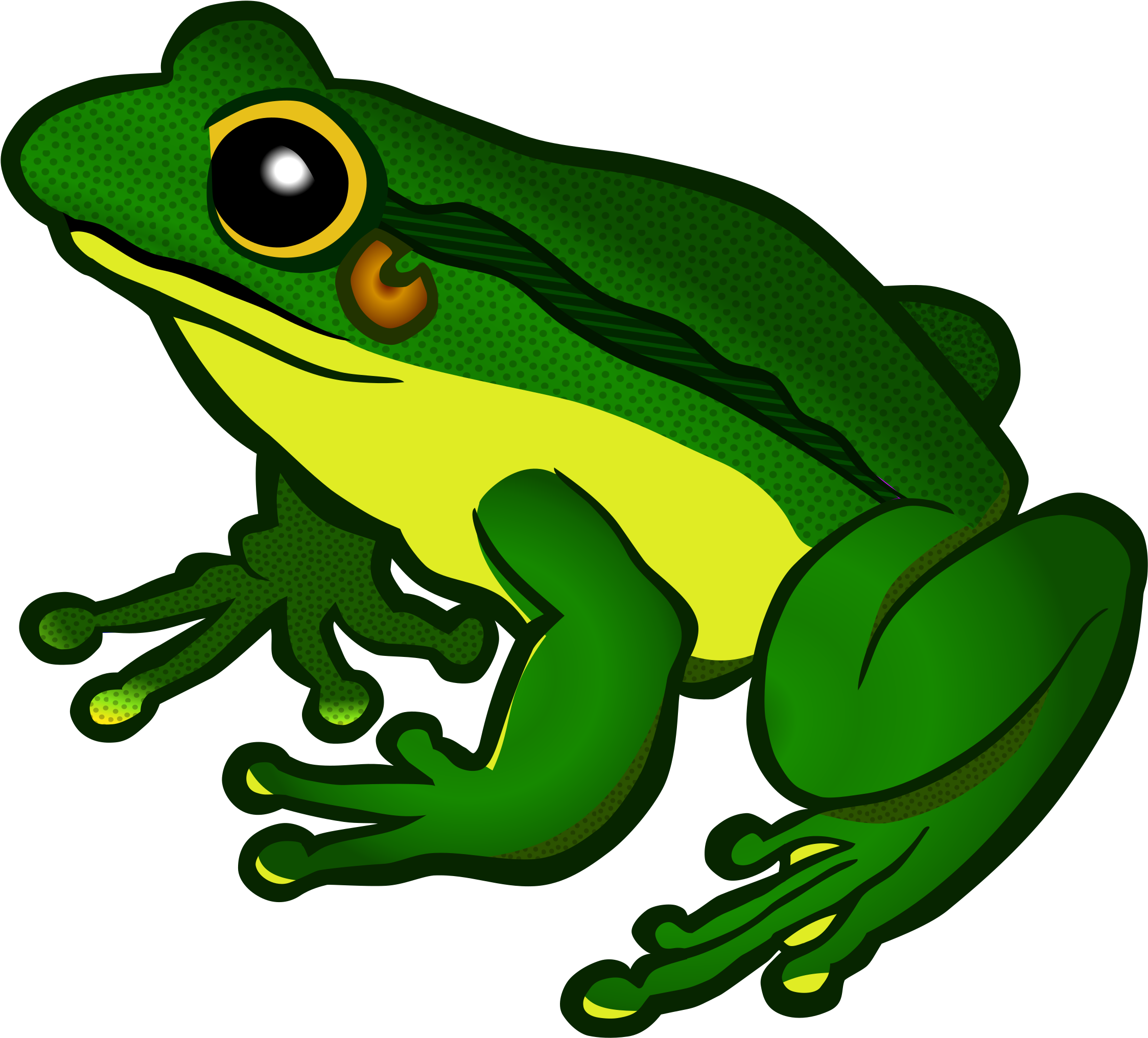 Png Free Stock Frog Clipart Png - Frog Transparent Background (2400x2185), Png Download