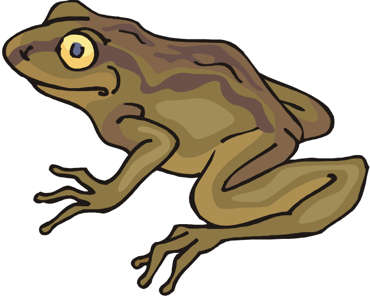 Free Frog Toad - Toad Clipart (750x605), Png Download