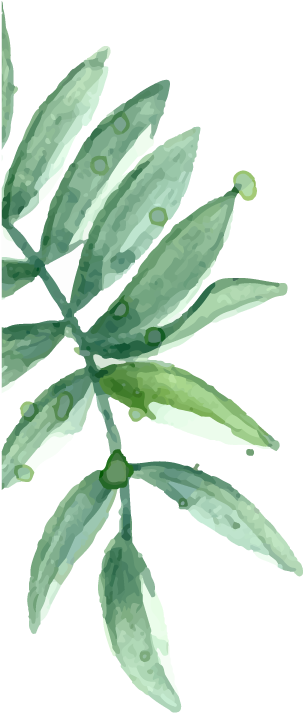 Gf - Ff - Gm&co: Notebook Journal Dot-grid, Lined, Graph, (324x800), Png Download