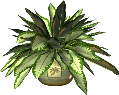 Pot Plant Clipart Botany - Clip Art (500x400), Png Download