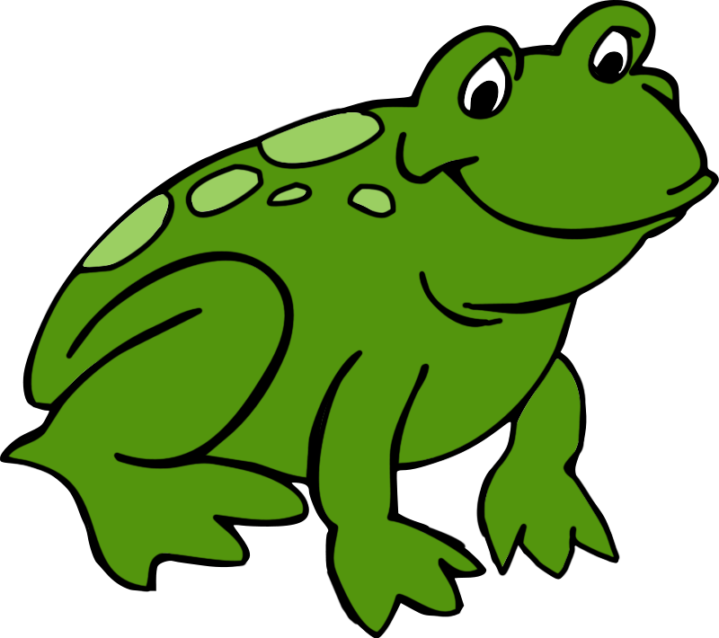 Free Frog Clip Art Drawings And Colorful Image 4 Image - Clipart Picture Of Frog (800x710), Png Download