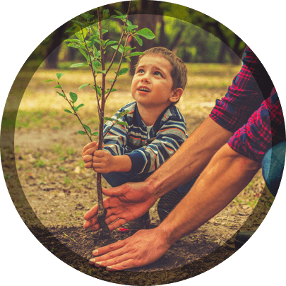 Emerald Tree & Shrub Care Company's - Kuranda Gelisim Psikolojisi [book] (405x405), Png Download
