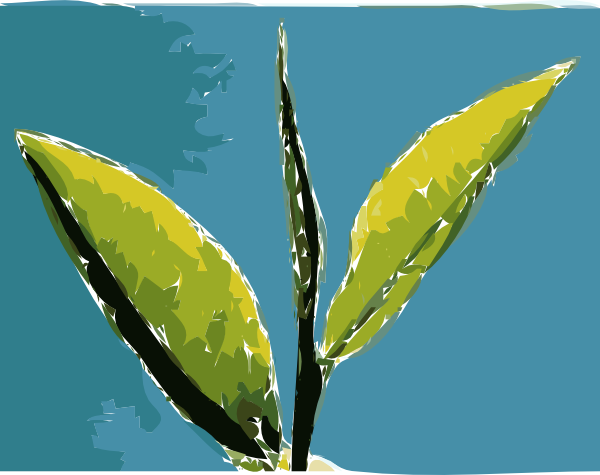 Leaves Blue Background Clip Art At Clker - Tea Leaves Painting (600x475), Png Download
