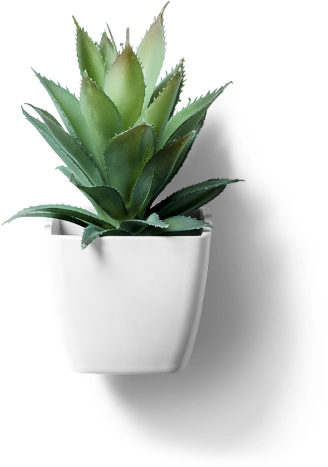 Product 1 Img - Flower (800x800), Png Download