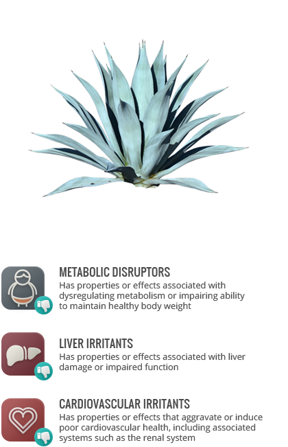 Cardiovascular Irritants - Single Blue Agave Plant (420x651), Png Download