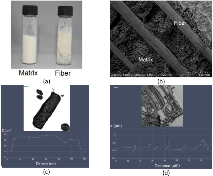 Separated Material Of Agave On Its Components Of Matrix - Wood (850x636), Png Download
