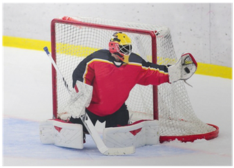 Goalie Catches The Puck Poster • Pixers® • We Live - Hockey Spirit Custom Mod Frame - Red/white/blue - One (400x400), Png Download