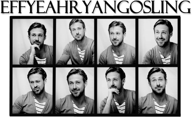Everyone Needs Some Gosling In Their Life - Home (640x400), Png Download