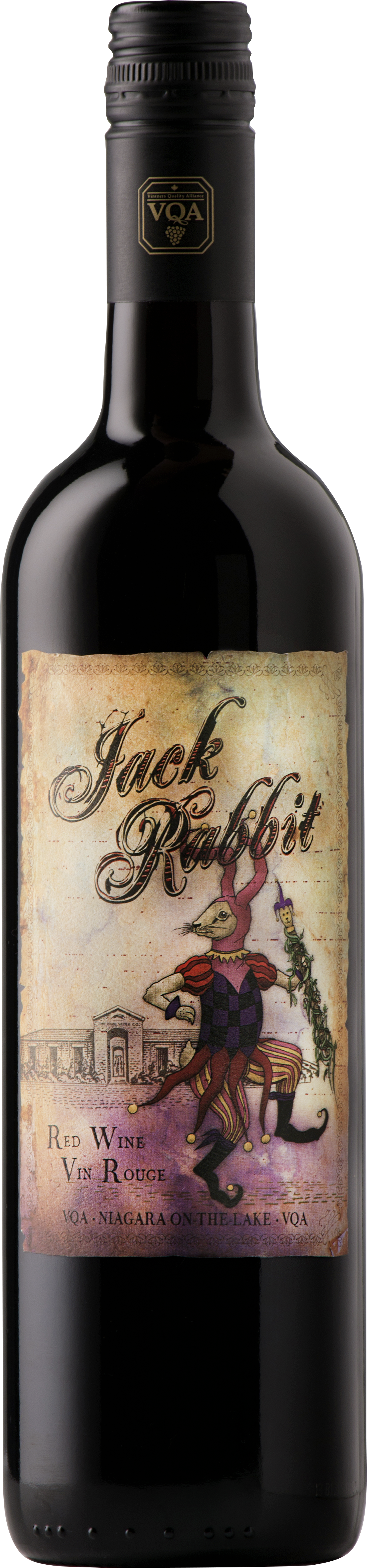 Jackrabbit Png (1619x5258), Png Download