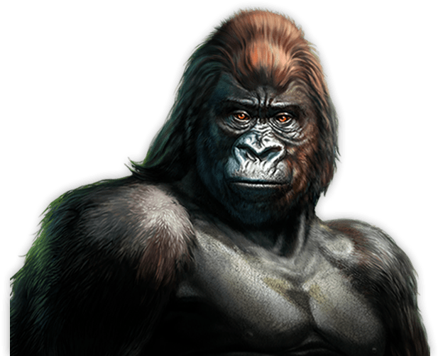 Gorilla™ (700x700), Png Download
