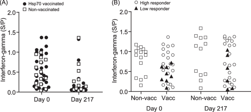 Hsp70 Vaccination Does Not Induce Ifn-responses After (850x379), Png Download
