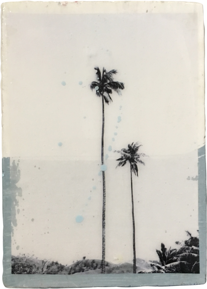 Mini Tile Fiji Palms (1024x1024), Png Download