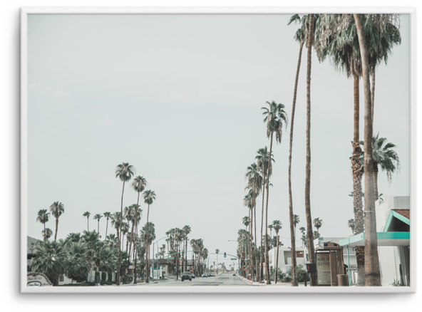 Download Streets Of Palm Springs Streets Of Palm Springs - Full Size