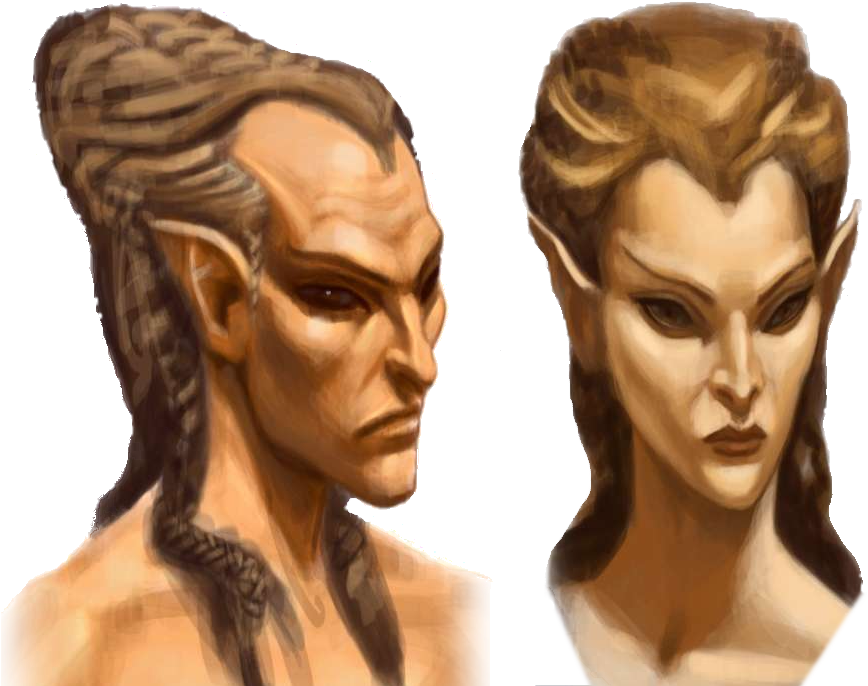 High Elves Adamovicz Skyrim (1000x711), Png Download