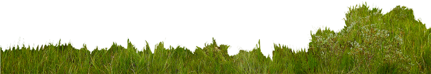 Landscape - Photographer - Grass (1400x788), Png Download