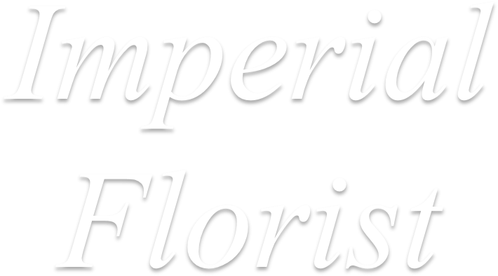 Download Birthday Bash Png - Full Size PNG Image - PNGkit