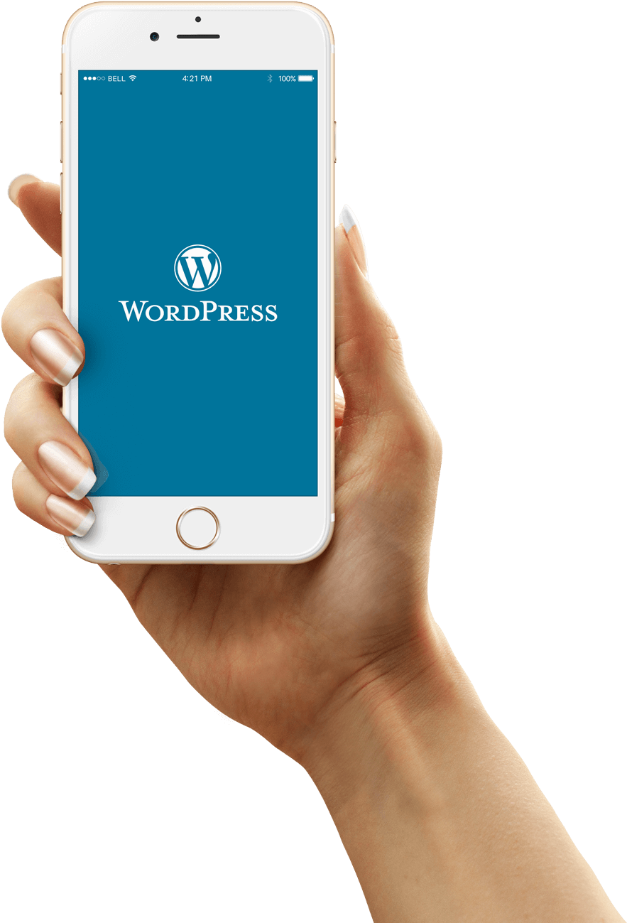 Iphone6 (1000x1364), Png Download