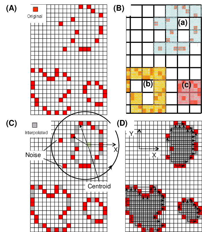Generation Of The Exterior Surface Contours Of The (700x801), Png Download