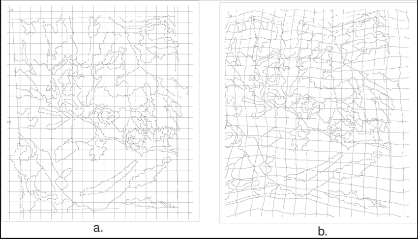 Overlay And Grid After Orthorectification Showing The (850x487), Png Download