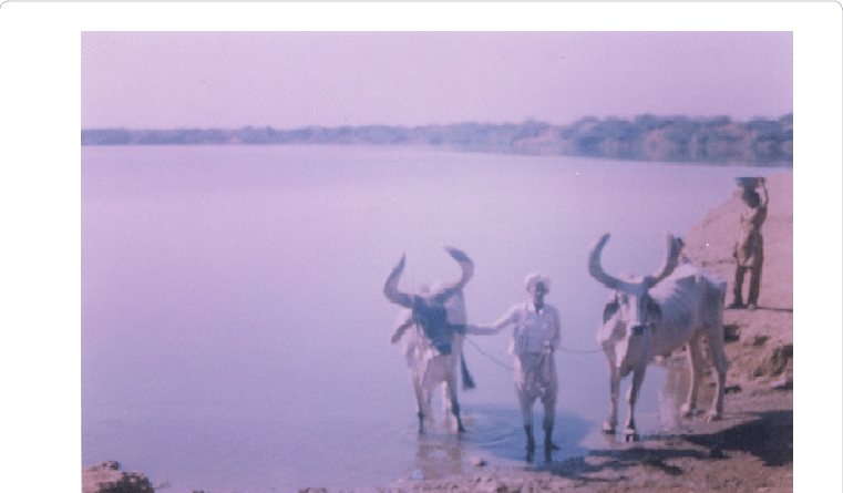 Bhumbhali Pond - (761x445), Png Download