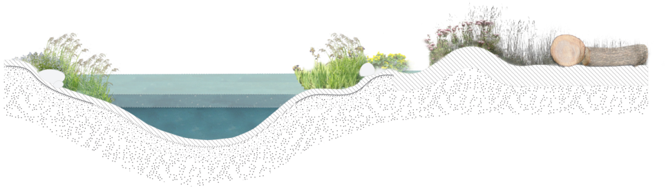 Pond (1000x350), Png Download