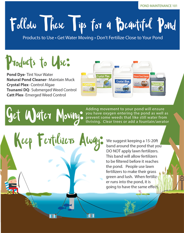 Pond Maintenance 101-outside Factors (593x768), Png Download