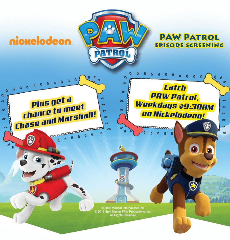 Some Of The Country's Best Musicians, Musical Groups, (800x833), Png Download