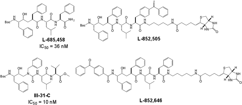 Structures Of The Active Site Directed Secretase Inhibitor (850x375), Png Download