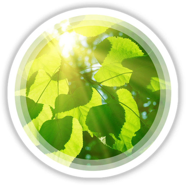 Technology To The Point (700x700), Png Download
