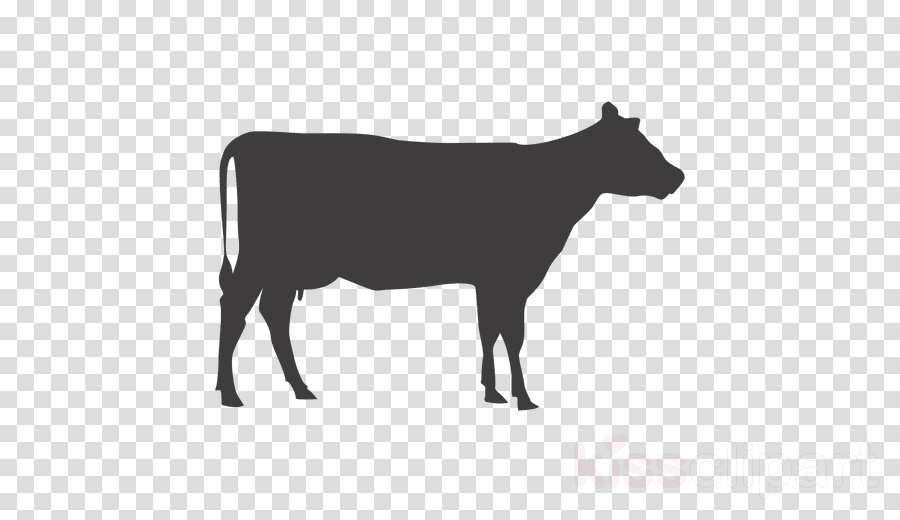 Nativity Animals Silhouette Clipart Beef Cattle Clip (900x520), Png Download