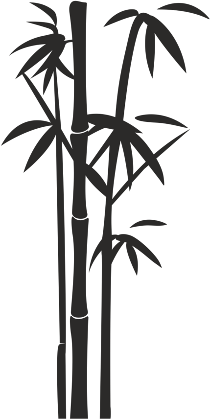 Bamboo Png, Download Png Image With Transparent Background, (800x1136), Png Download
