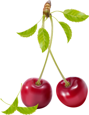 Realistic Cherry Vector And Transparent Png The Facebook (1200x628), Png Download
