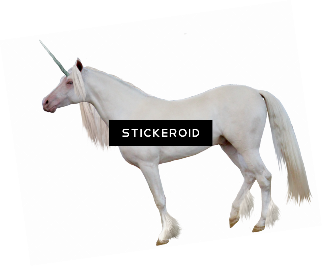 Unicorn (1123x925), Png Download