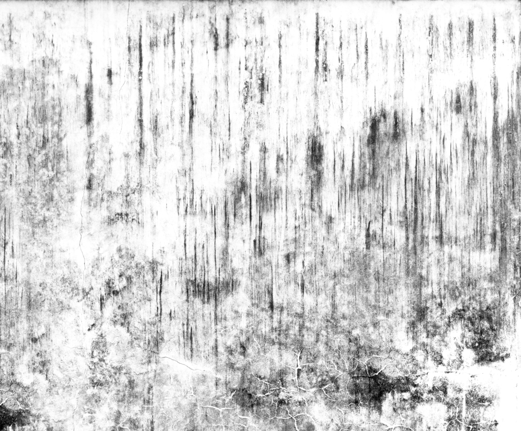 Dirt Png Texture (1024x848), Png Download
