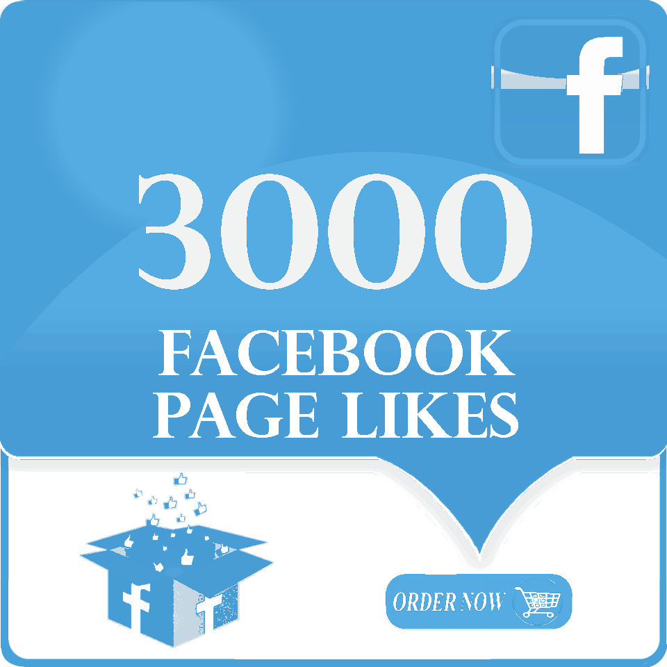 I Can Give 3000 Real Facebook Page Likes Non Drop In (960x960), Png Download