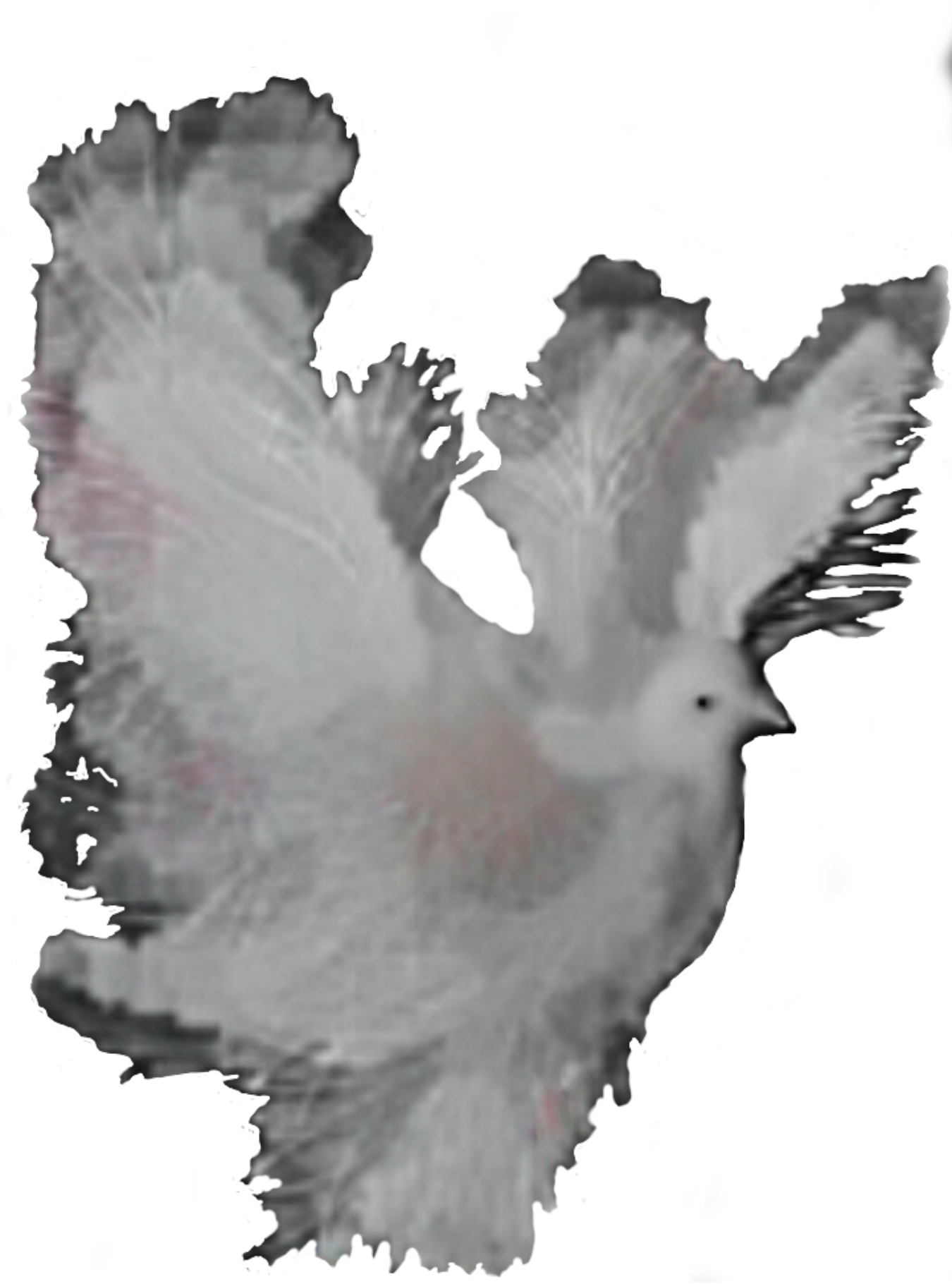 This Free Icons Png Design Of Dove Fantasy Artiste (1350x1820), Png Download