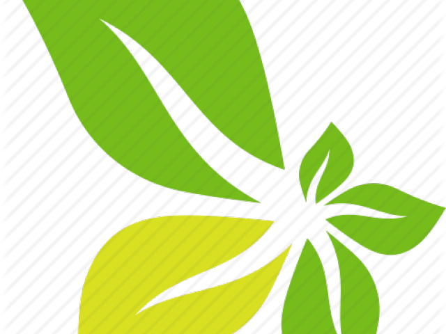 Green Leaf Icon (640x480), Png Download