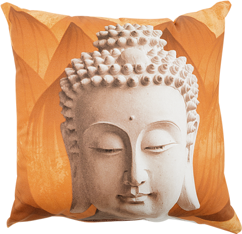 Image For 16x16" Decorative Pillow (519x804), Png Download