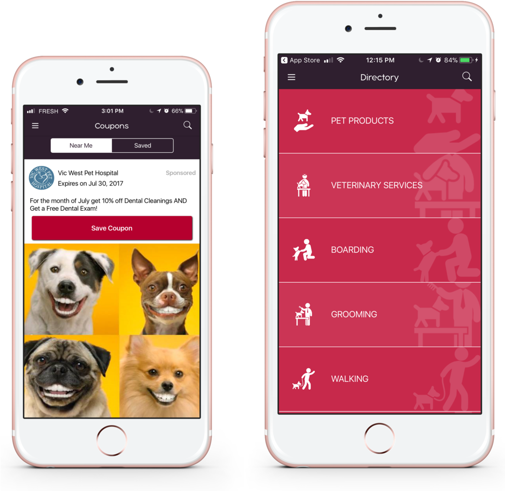 Pet Vibe Coupon & Thing (1000x1009), Png Download