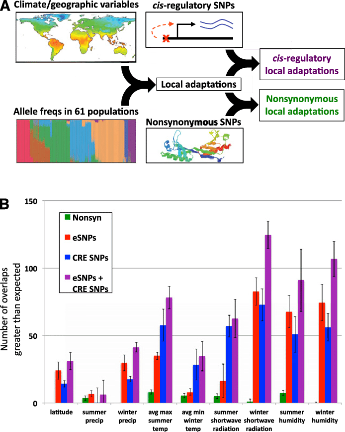 Outline Of The Data Sets Integrated To Identify Putative (694x867), Png Download