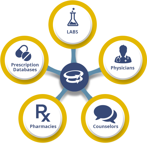 An Ecosystem Fueled By Support And Collaboration With (649x593), Png Download