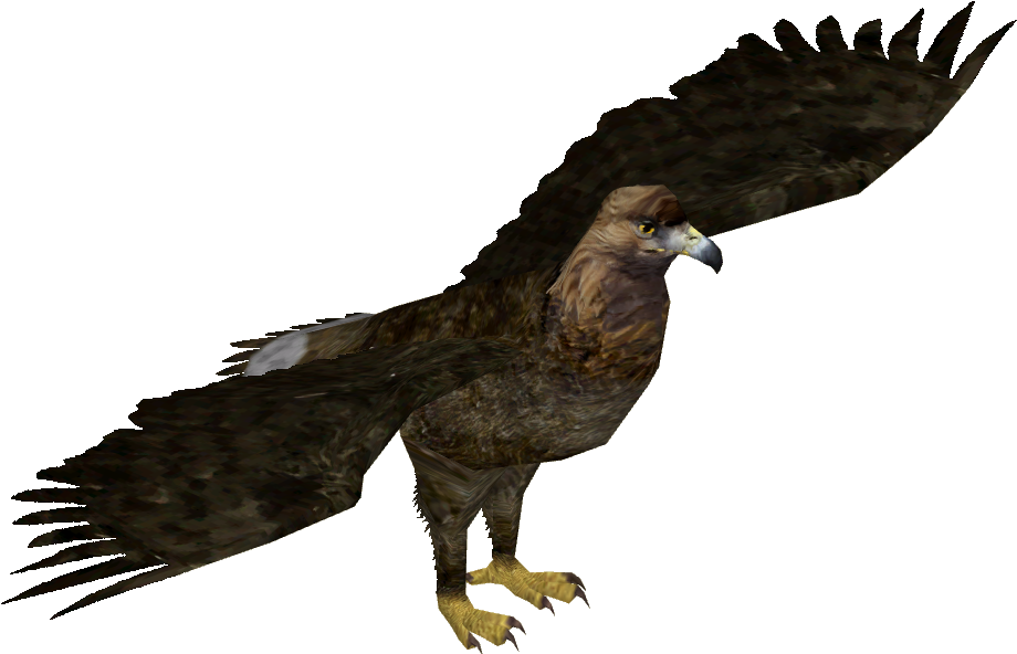 Giant Eagle (919x919), Png Download