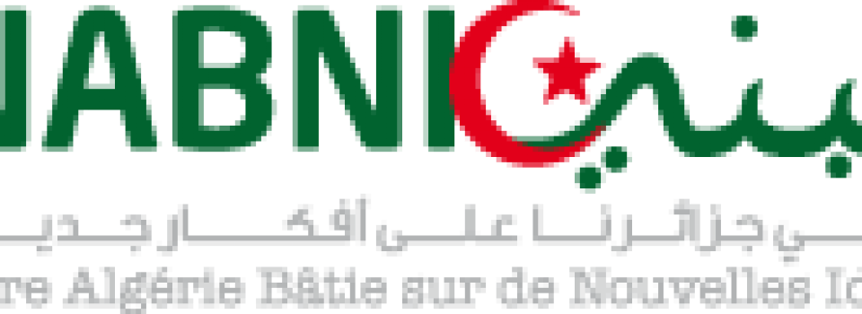 Logo Nabni Copie (960x350), Png Download
