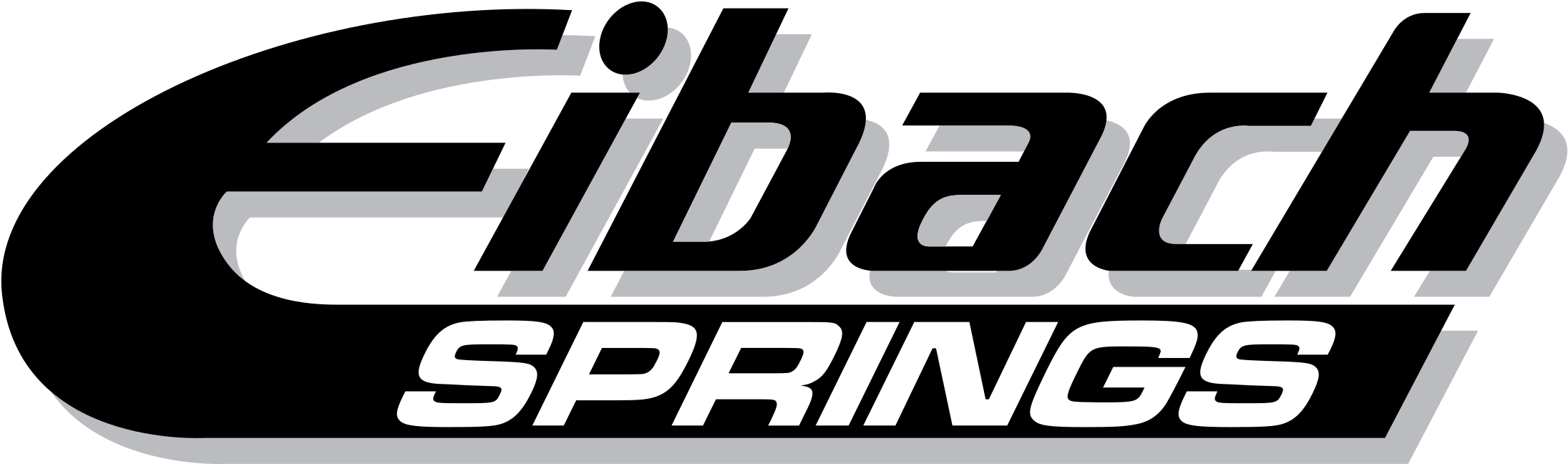 Eibach Springs Logo Png Transparent (2400x2400), Png Download