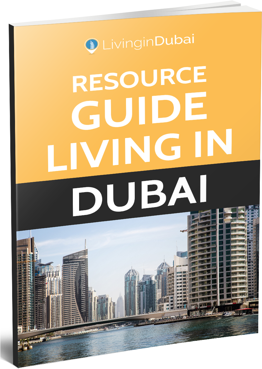 The 35 Tools & Resources 13,000 Expats Have Used To (851x1205), Png Download